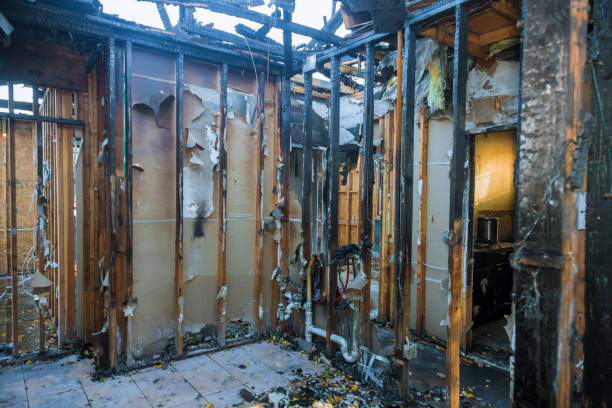 Professional Fire Damage Removal technician working in Salmon Creek, WA